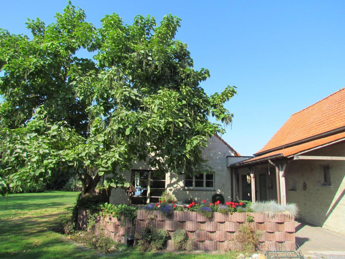 Terre De Lumiere Villa Maldegem Dış mekan fotoğraf